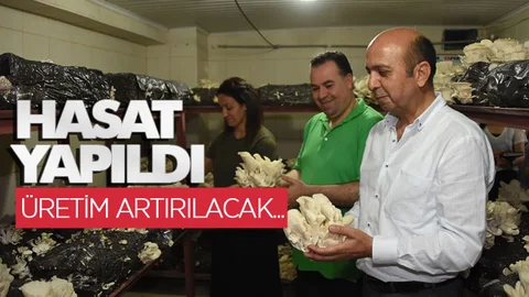 Hasat Yapıldı, Hedef Yeni İş Kapıları