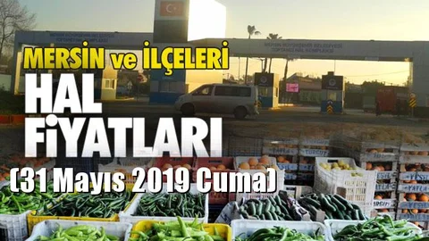 Mersin Hal Müdürlüğü Fiyat Listesi (31 Mayıs 2019 Cuma)