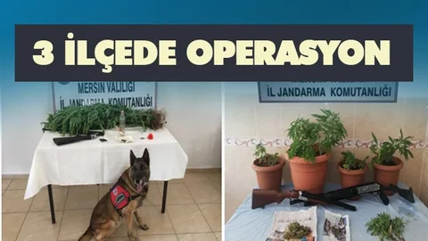 3 İlçede Operasyon