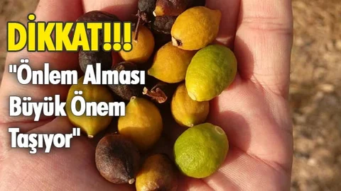 Müdürlük Paylaştı "Önlem Alması Büyük Önem Taşıyor"