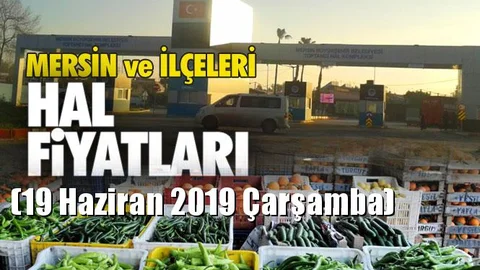 Mersin Hal Müdürlüğü Fiyat Listesi (19 Haziran 2019 Çarşamba)