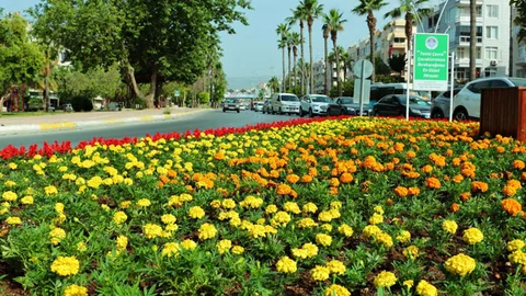 Park ve Bahçeler’de Yoğun Tempo