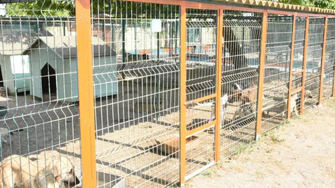 Başkan Bozdoğan, Köpek Bakım ve Islah Evi’ni Onarımdan Geçirtti