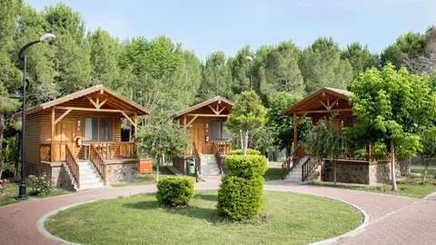 Tarsus Gençlik Kampı, 1 Temmuz’da Kapılarını Açıyor