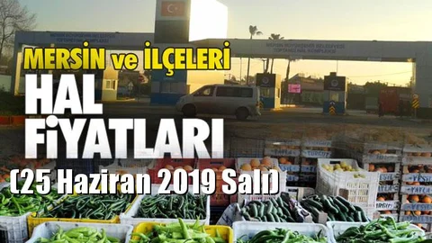 Mersin Hal Müdürlüğü Fiyat Listesi (25 Haziran 2019 Salı)