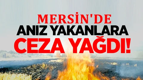 Mersin'de Anız Yakanlara Ceza Yağdı
