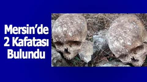 Mersin'de 2 Kafatası Bulundu