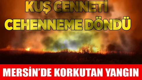 Mersin'de Korkutan Yangın