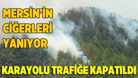 Mersin'de Orman Yangını