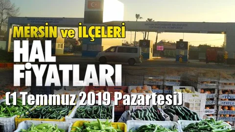 Mersin Hal Müdürlüğü Fiyat Listesi (1 Temmuz 2019 Pazartesi)