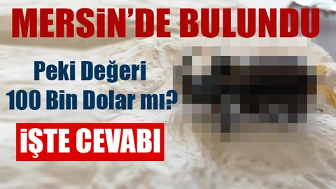 Hakkında Çok Şey Söyleniyordu Mersin'de Bulundu!