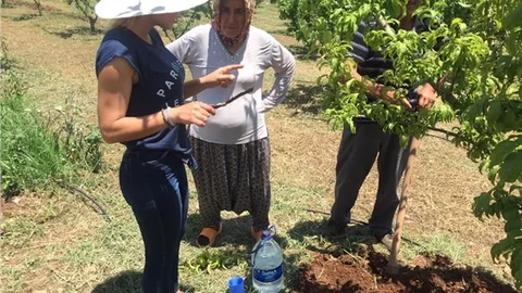 Mersin Akdeniz Ziraat Odası Ekiplerin Tarım Alanlarında İnceleme Yaptı