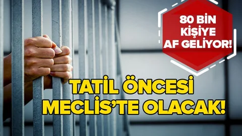 Af Yasası Çalışmaları Başladı. 80 Bin Mahkuma Tahliye Yolu Açılıyor