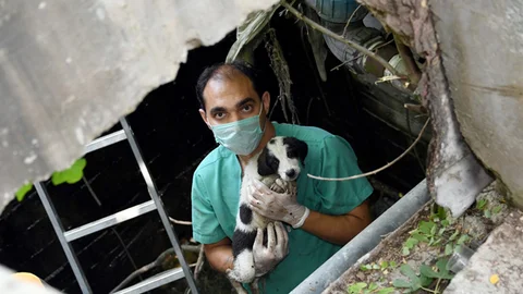 4 Minik Yavru Büyükşehir’le Hayata Tutundu