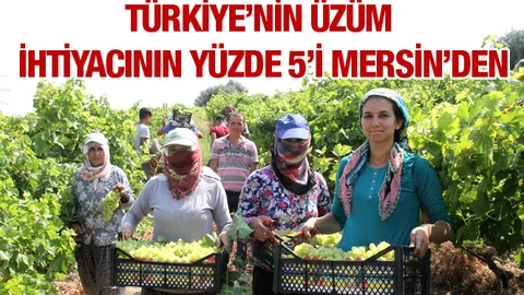 Türkiye'nin Üzümü Mersin'den