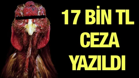 Mersin'de 17 Bin 600 TL Ceza Kesildi