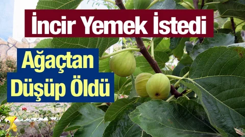 Mersin'de Acı Olay