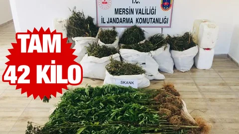 Jandarma Ekiplerinden Nefes Kesen Operasyon