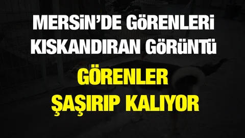 Mersin'de Görenleri Şaşırtan Görüntü!