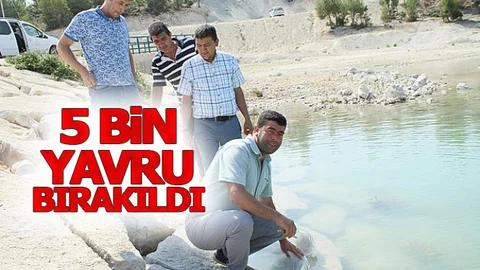 5 Bin Yavru Doğaya Bırakıldı