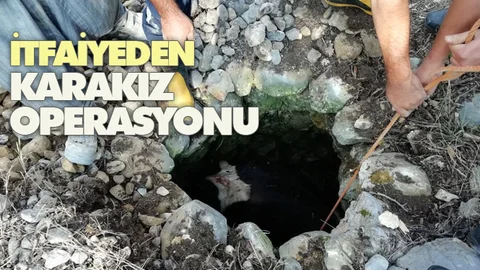 İtfaiyeden Karakız Operasyonu