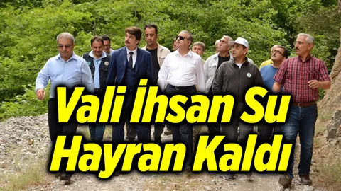 Mersin Valisi Hayran Kaldı