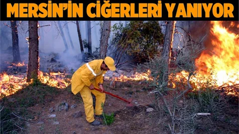Mersin'in Ciğerleri Yanıyor