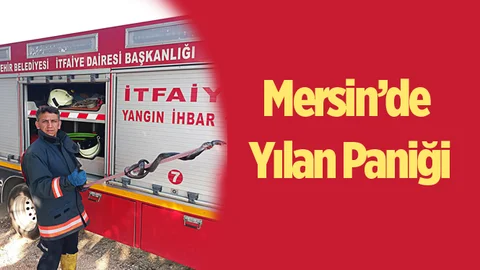 Mersin 2,5 Metrelik Yılan Korkusu