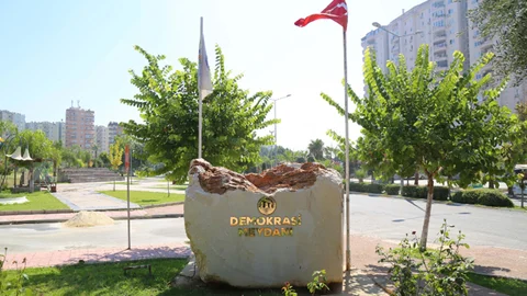 Anıt Ağaç Zeytin Verdi