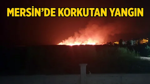Mersin'de Korkutan Yangın