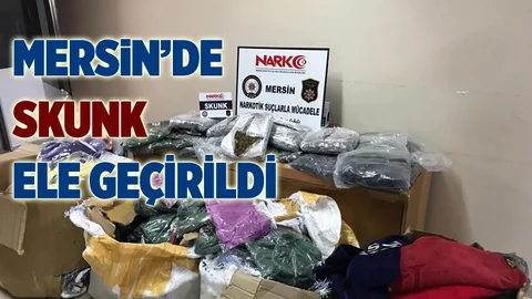 Mersin’de 5 Kilogram Skunk Ele Geçirildi