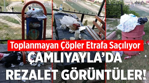 Çamlıyayla'da Utandıran Görüntüler