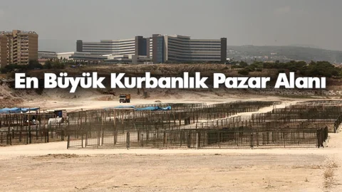 Kentin En Büyük Kurbanlık Pazar Alanı Toroslar’da