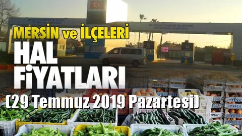 Mersin Hal Müdürlüğü Fiyat Listesi (29 Temmuz 2019 Pazartesi)