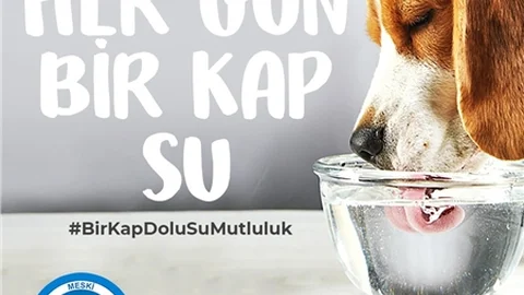 MESKİ’den "Can Dostları Unutmayalım" Çağrısı