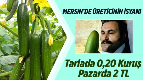 Mersin’de Çiftçinin Salatalık İsyanı