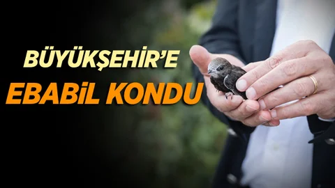 Büyükşehir'in Bahçesine Ebabil Kuşu Kondu
