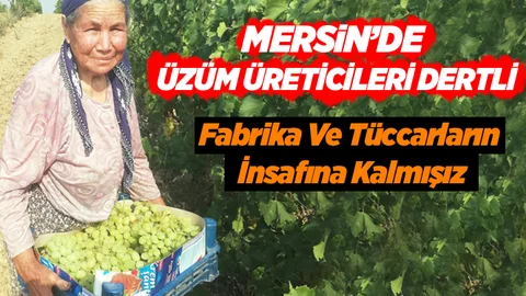 Mersin'de Üzüm Üreticileri İsyanda