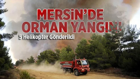Mersin'de Orman Yangını! Siviller Tahliye Ediliyor