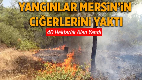 Yangınlar Mersin'in Ciğerlerini Yaktı