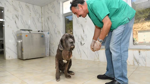 "Vefa" Artık Vefalı Ellere Emanet