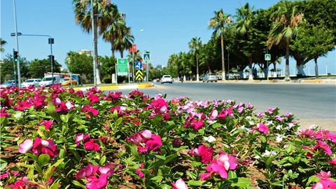 Mersin’de Yaz Sıcaklarında Bahar Esintisi
