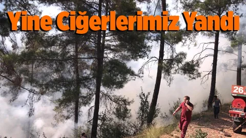 Mersin'in Ciğerleri Yandı