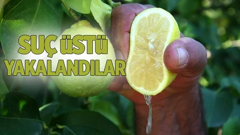Suç Üstü Yakalandılar!