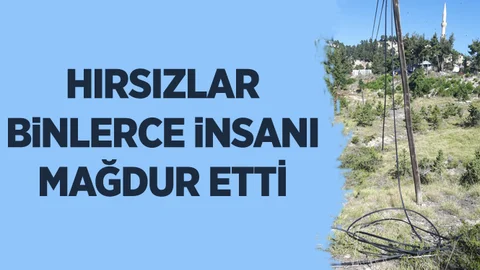 Hırsızlar Binlerce İnsanı Mağdur Etti