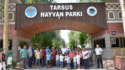 Belgesellerde İzledikleri Hayvanları İlk Kez Canlı Gördüler