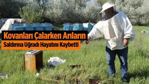 Kovanları Çalarken Arıların Soktuğu Genç Öldü