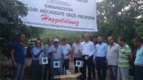 Avcı Böcekler Bahçelere Salındı