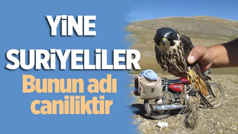 Yer: Mersin, Bunun Adı Caniliktir!