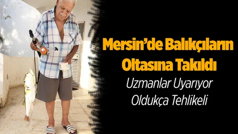Mersin'de Balıkçıların Oltasına Takıldı! Oldukça Tehlikeli